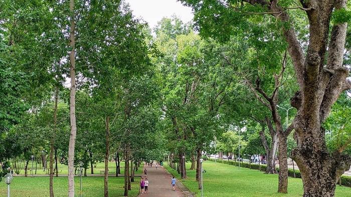 TP.HCM đã tăng được gần 22 ha công viên công cộng và gần 10 ha mảng xanh